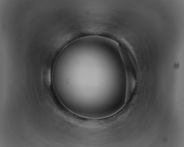 X0000091690020200708231450