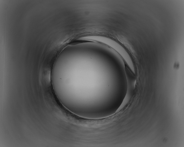 X0000091690021200708231450