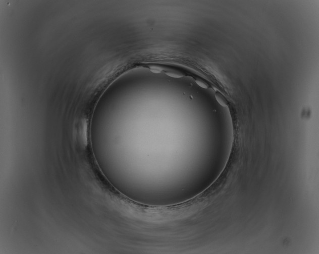 X0000091690022200708231450