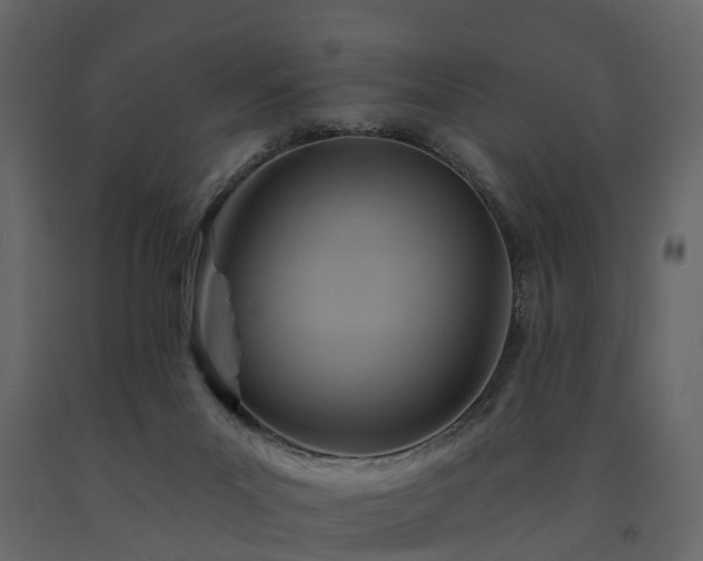 X0000091690023200708231450