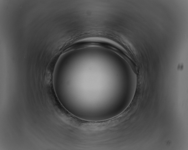 X0000091690025200708231450