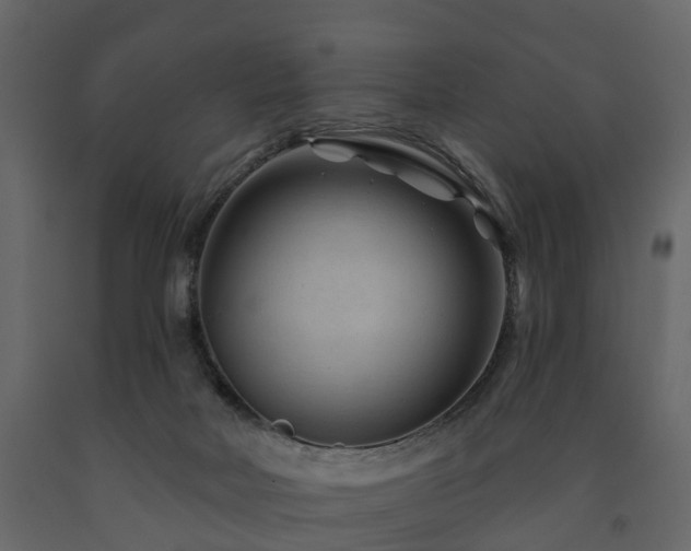 X0000091690026200708231450