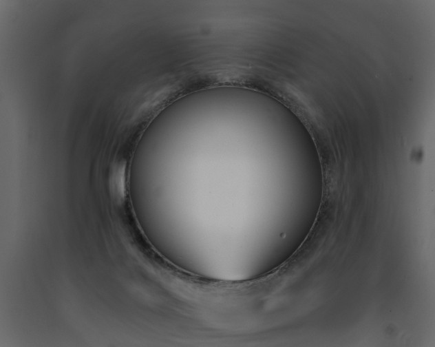 X0000091690028200708231450