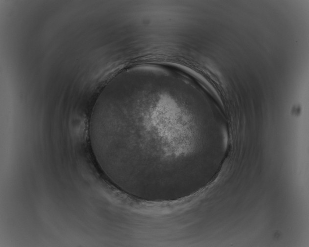 X0000091690029200708231450