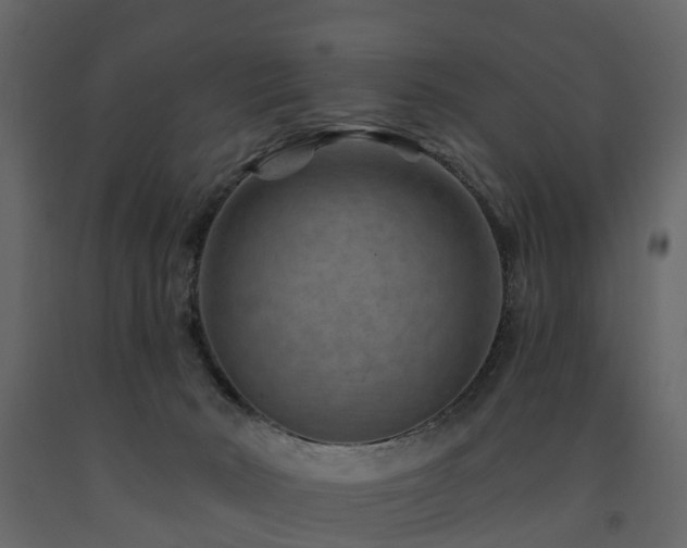 X0000091690030200708231450