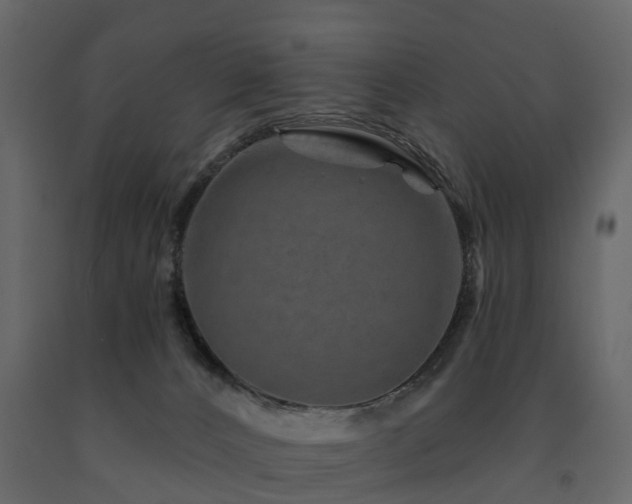 X0000091690032200708231450