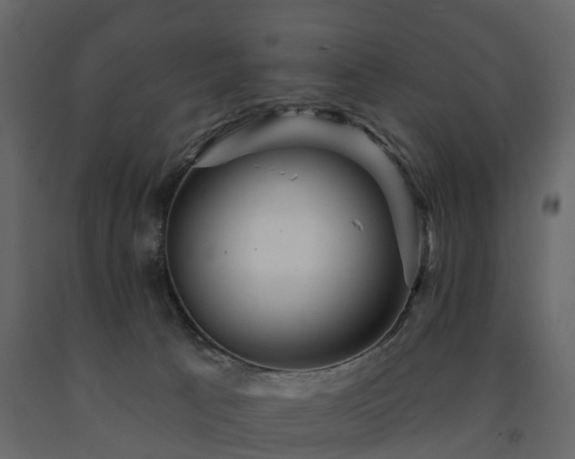 X0000091690033200708231450