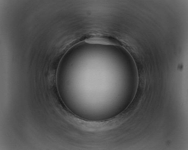 X0000091690034200708231450