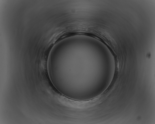X0000091690035200708231450