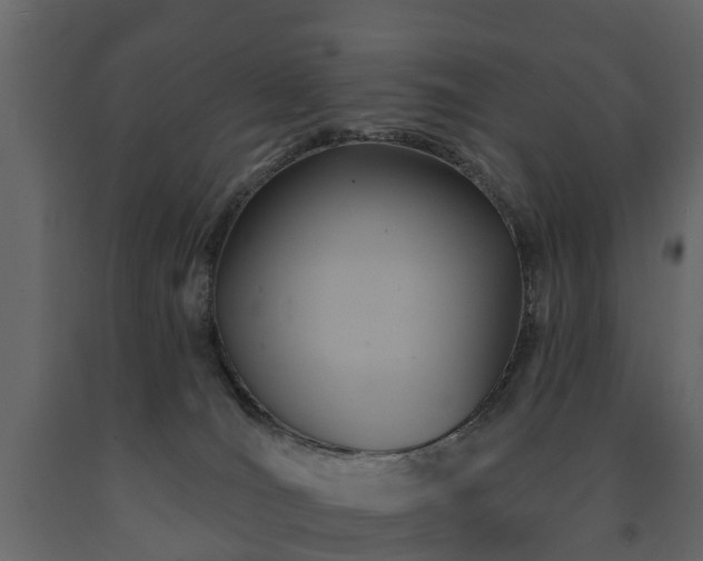 X0000091690036200708231450