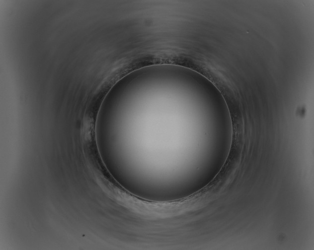 X0000091690038200708231450