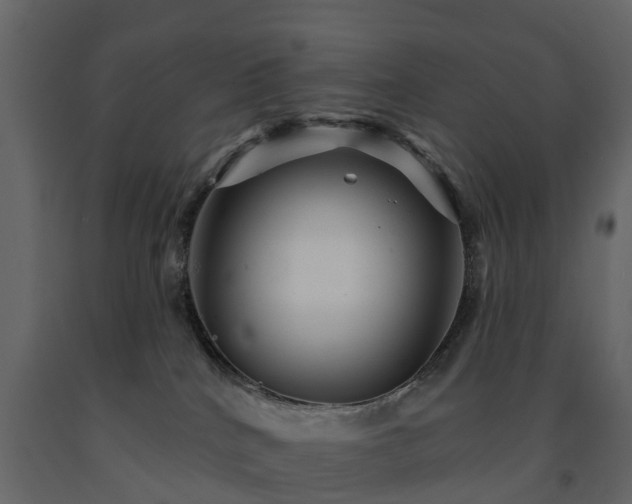 X0000091690040200708231450
