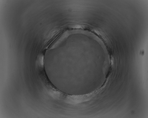 X0000091690041200708231450