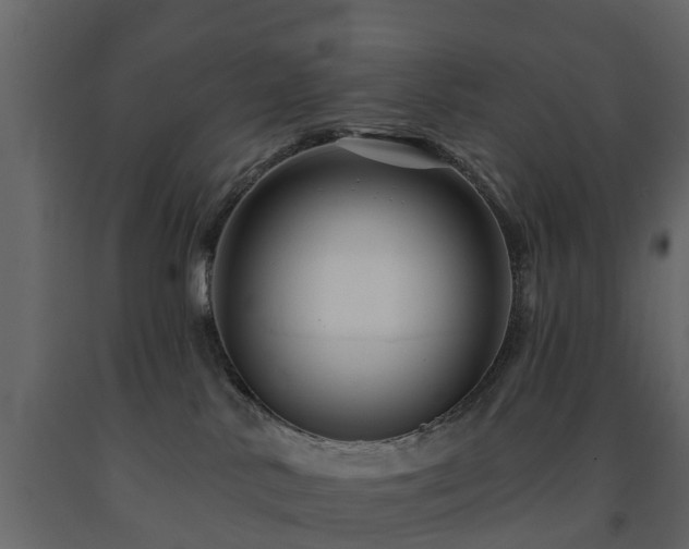 X0000091690042200708231450