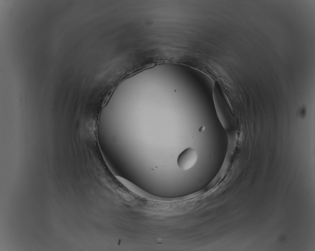 X0000091690045200708231450