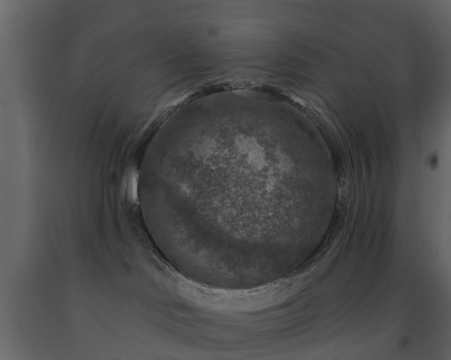 X0000091690046200708231450