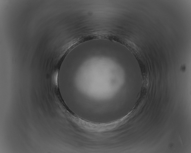 X0000091690047200708231450