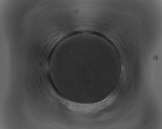 X0000091690048200708231450