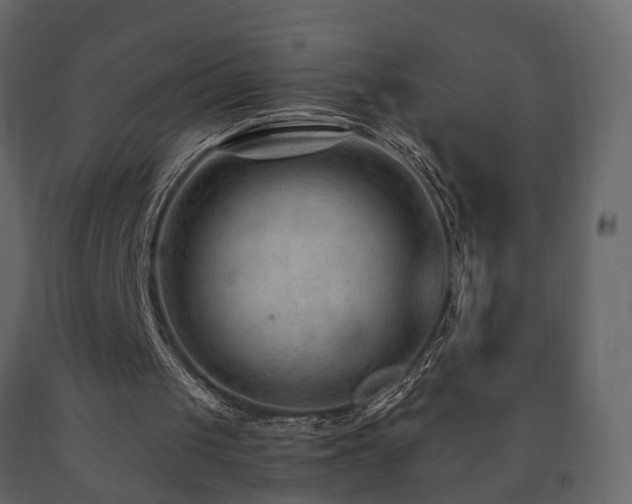 X0000091690049200708231449