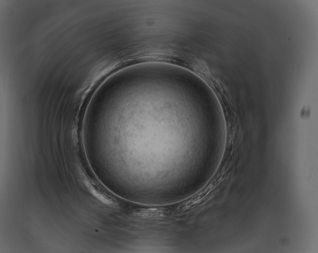 X0000091690050200708231449