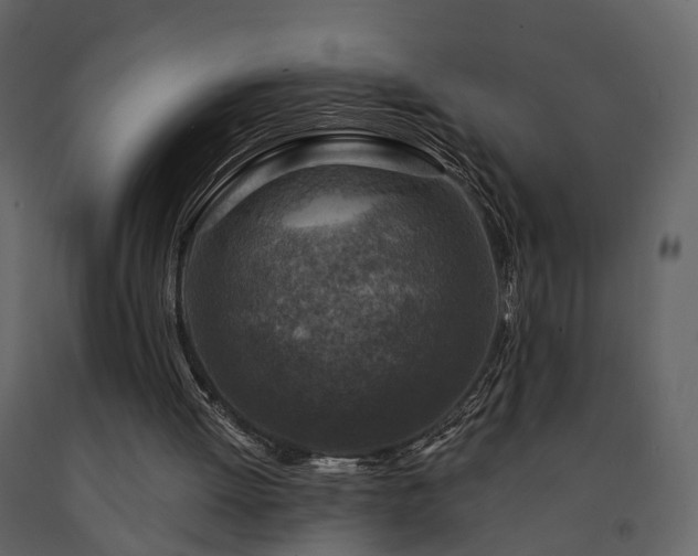 X0000091690052200708231449