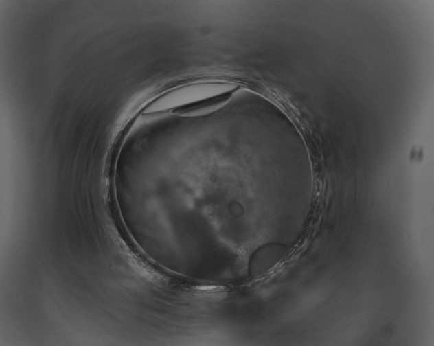 X0000091690053200708231449