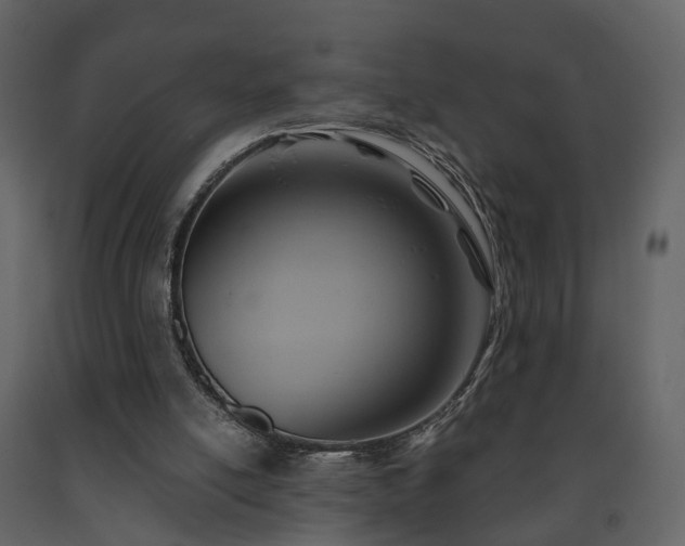 X0000091690054200708231449