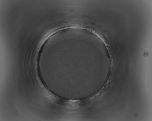 X0000091690055200708231449