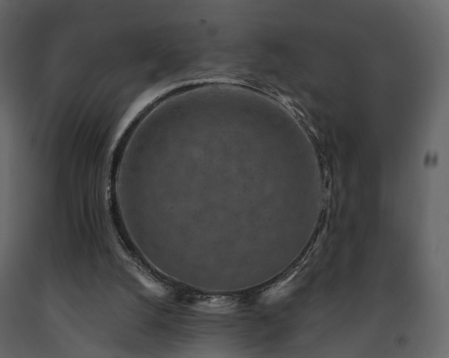 X0000091690056200708231449