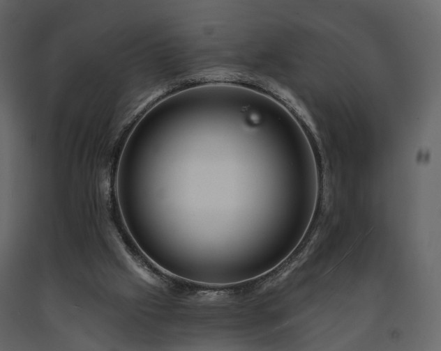 X0000091690057200708231449