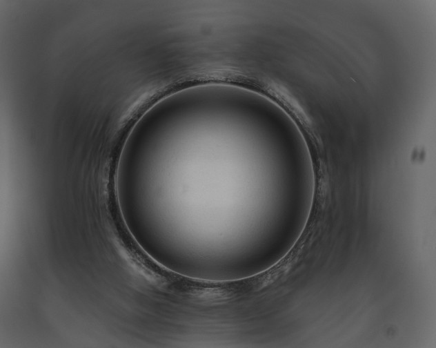 X0000091690058200708231449