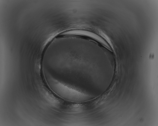 X0000091690059200708231449