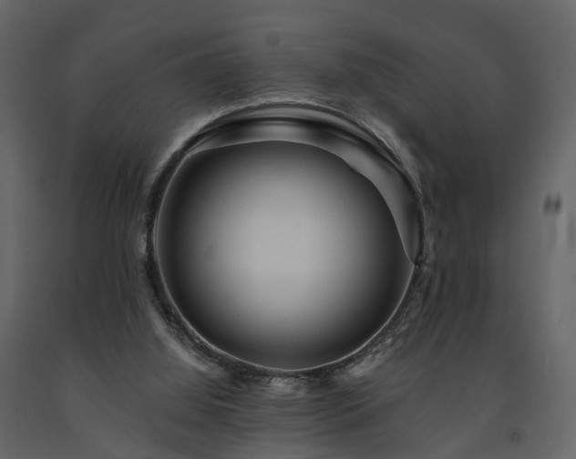 X0000091690060200708231449