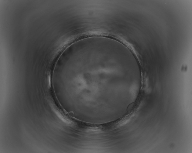 X0000091690061200708231449