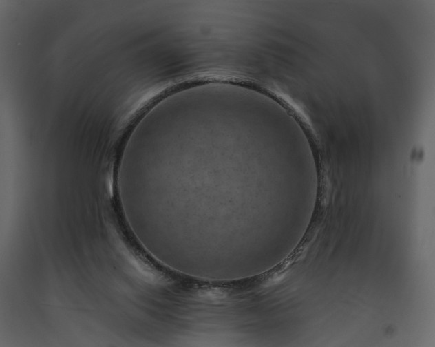 X0000091690062200708231449