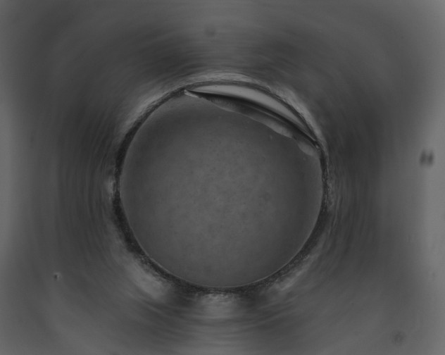 X0000091690063200708231449