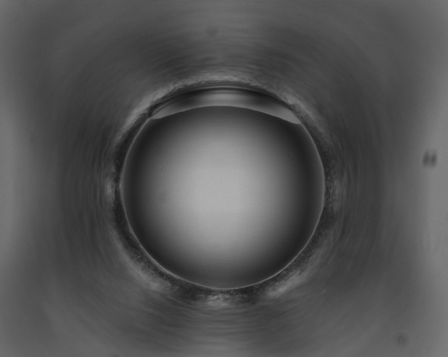 X0000091690064200708231449
