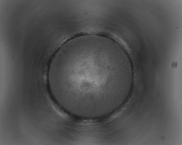 X0000091690065200708231449