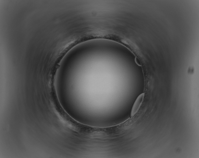 X0000091690066200708231449