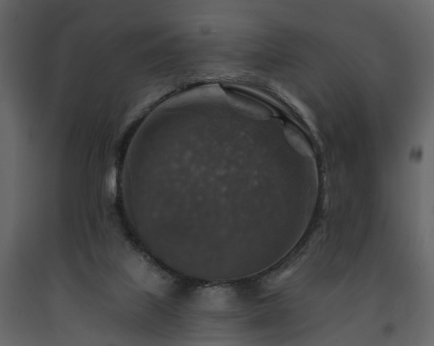 X0000091690067200708231449