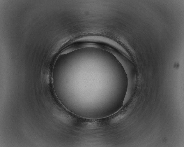 X0000091690068200708231449