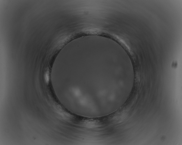 X0000091690069200708231449