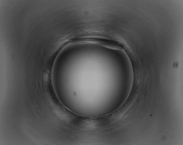 X0000091690071200708231449