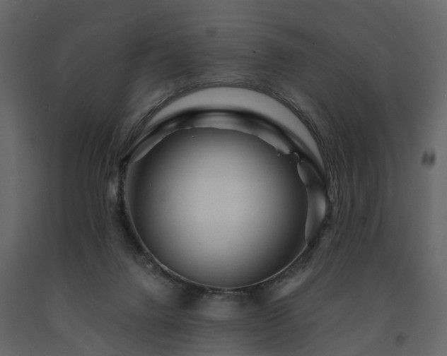 X0000091690072200708231449