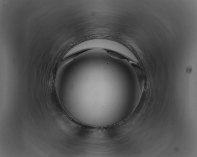 X0000091690073200708231449