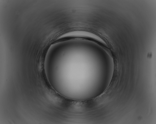 X0000091690074200708231449