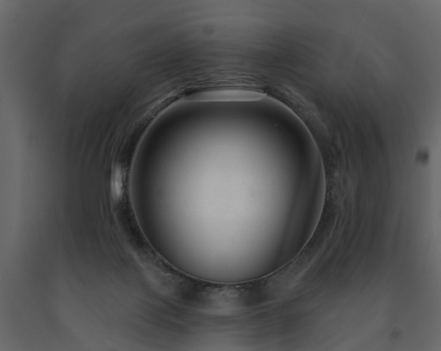 X0000091690075200708231449