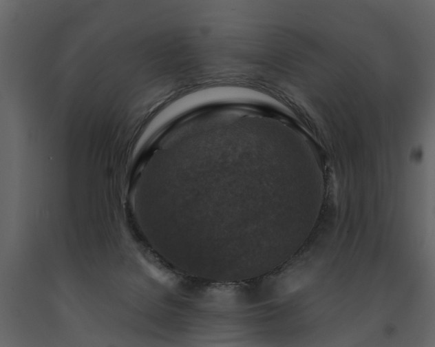X0000091690076200708231449
