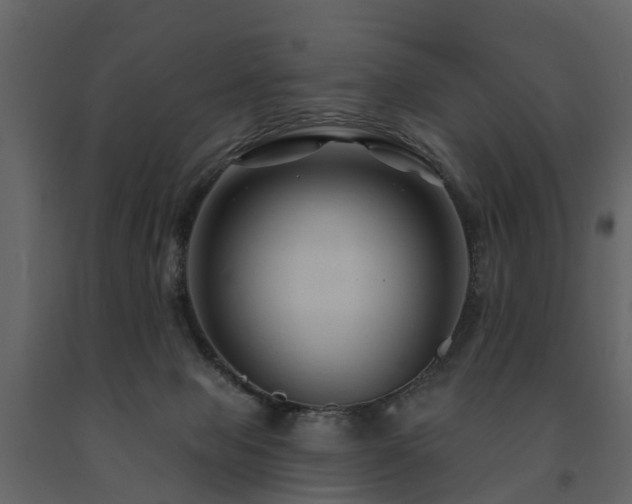 X0000091690077200708231449