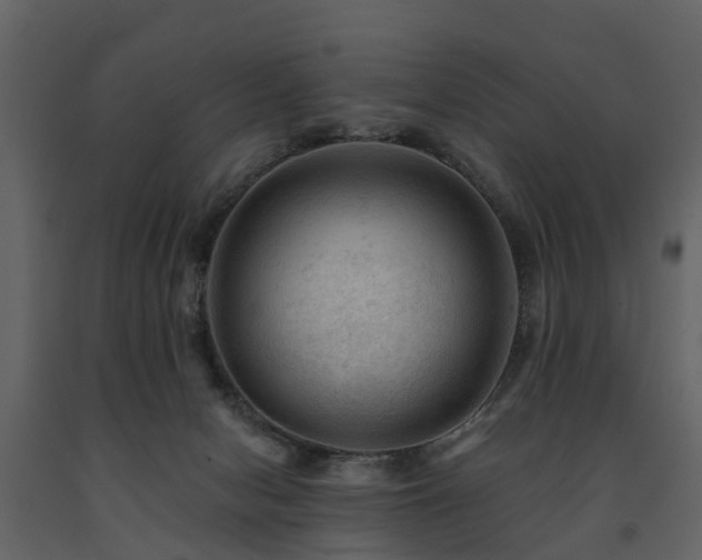 X0000091690078200708231449
